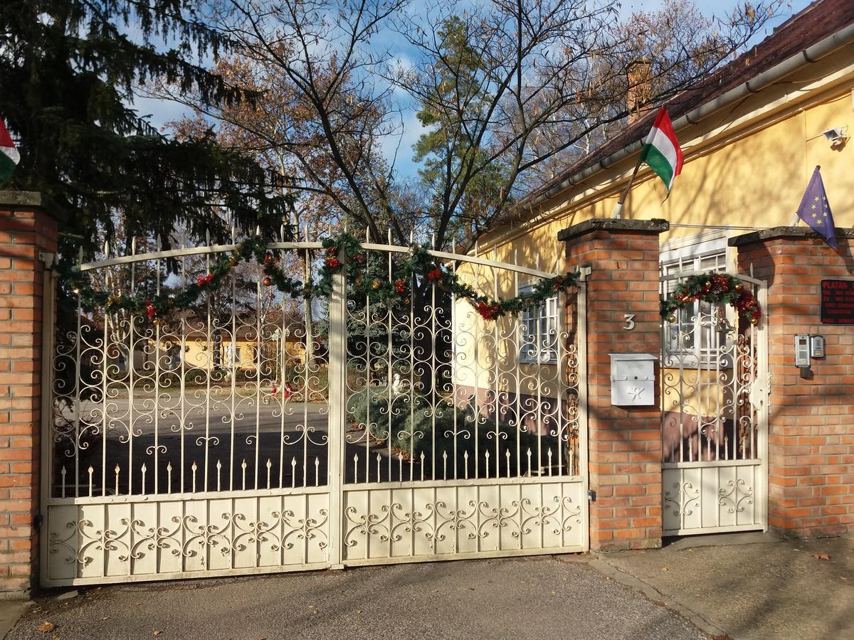 Hotel Platan Szallashely Sándorfalva Exterior foto